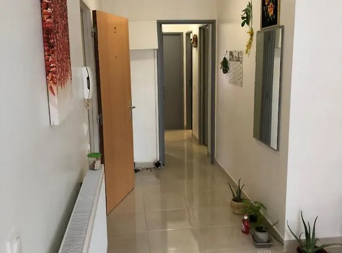 T3 Centre Neuve * Tarbes